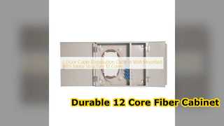 12 Core Fiber Optic Wall Mount Cabinet GP 05 Series